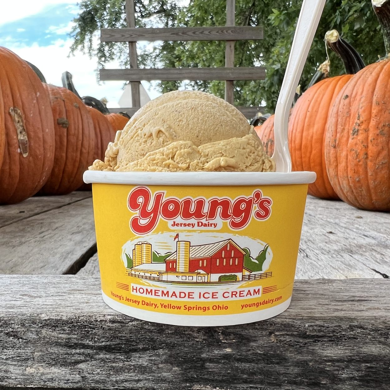 Things to Do This Month - Young's Jersey Dairy