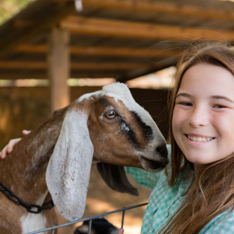 Summer Camp - One Week Extended Care